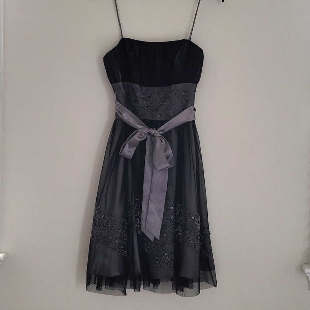 OC BY OC Lace & Sequined Cup Cake Dress Size 4